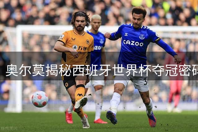 奥尔莫揭秘西班牙世界杯夺冠密码：团队精神与隐形训练铸就辉煌